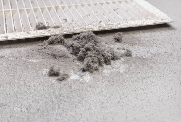 Best Local Air Duct Cleaning Services  in Moriches, NY