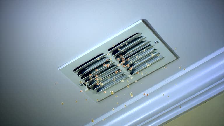 Best HVAC System Cleaning  in Moriches, NY